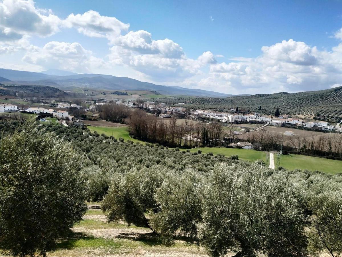 Pintoresco Alojamiento Rural La Camarilla Ribera Baja  Dış mekan fotoğraf